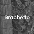 Brachetto