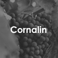 Cornalin