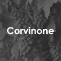 Corvinone