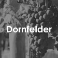 Dornfelder