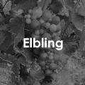 Elbling