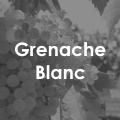 Grenache Blanc