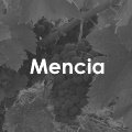 Mencia