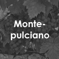 Montepulciano