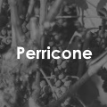 Perricone