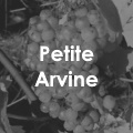 Petite Arvine