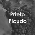 Prieto Picudo