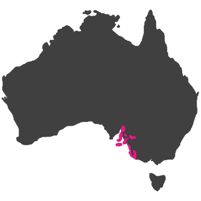 South Australia vinregion
