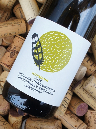 Hofmann Weisser Burgunder & Chardonnay Trocken Urmeer 2020