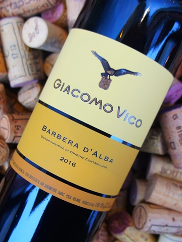 Giacomo Vico Barbera d'Alba 2016