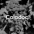 Caladoc