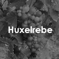 Huxelrebe