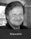 Araucano