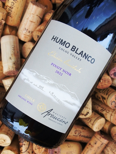 Araucano Humo Blanco Pinot Noir 2022
