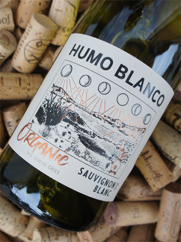 Araucano Humo Blanco Sauvignon Blanc 2023