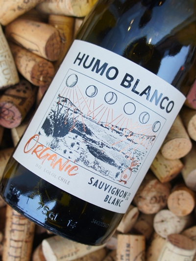 Araucano Humo Blanco Sauvignon Blanc 2024